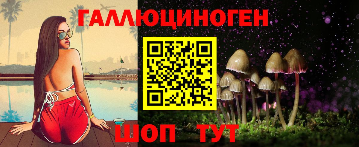Саров  Галлюциногенные грибы прущие грибы  продажа наркотиков  Вход с VPN  Псилоцибиновые грибы Psilocybine cubensis 